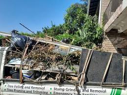 Best Hoarding Cleanup  in , OH